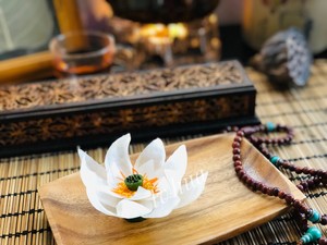 Make A White Lotus and Use Radish~ recipe