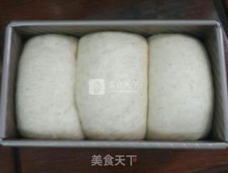 Whole Wheat Toast recipe