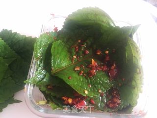 Korean Food Marinated in Garlic Chili Sauce-sesame Leaves recipe