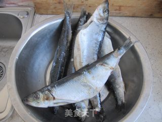 Canned Tomato Flavored Herring recipe