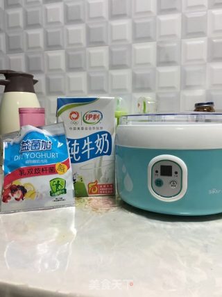 Instant Yogurt recipe