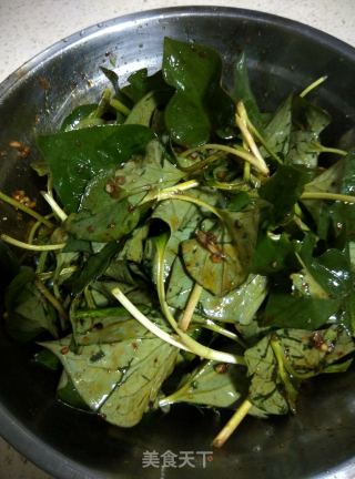 【sichuan】houttuynia Cordata recipe