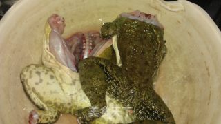 Griddle Bullfrog recipe