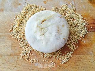 Sesame Biscuits (oven Version) recipe