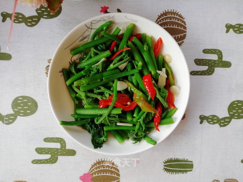 Vegetarian Fried Pumpkin Vine