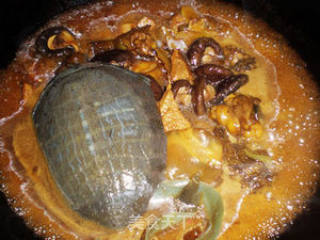 Braised Turtle recipe