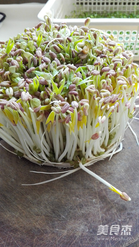 Mung Bean Sprouts recipe