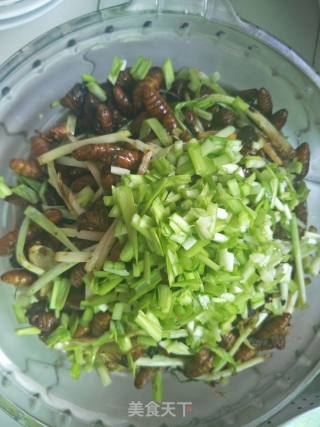 Fried Silkworm Chrysalis recipe