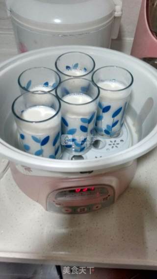 Diy Plain Yogurt recipe