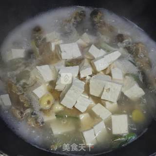 Milky White Crucian Fish Tofu Soup recipe