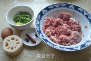 Nan Fried Meatballs recipe