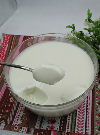 Home-made Yogurt recipe