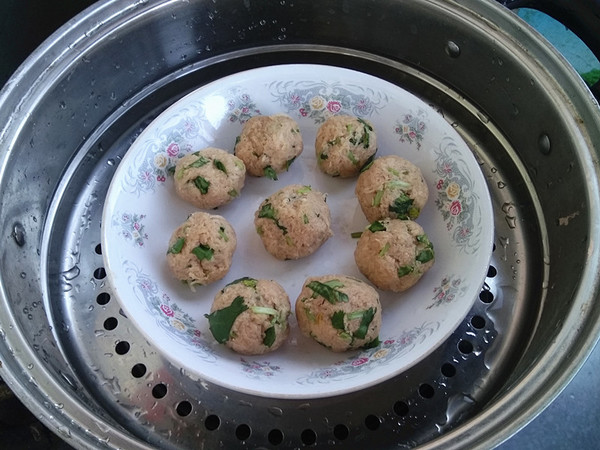 Vegetarian Meatballs with Pouring Sauce recipe