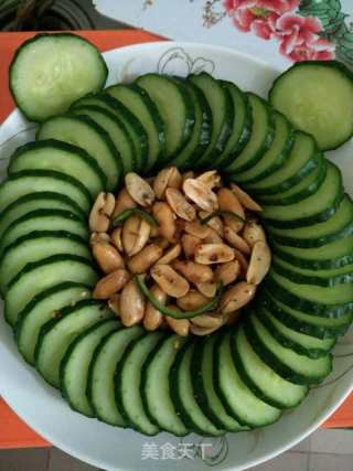 "fun Cucumber" recipe