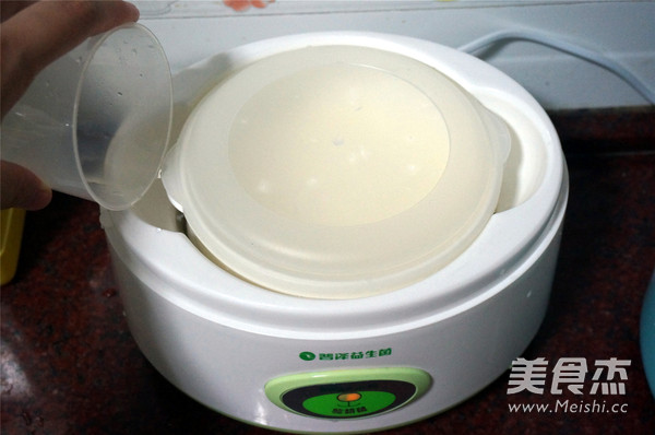 Guangdong Freshly Brewed Silky Yogurt recipe