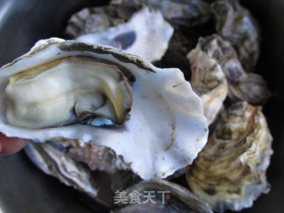 Fried Oysters recipe