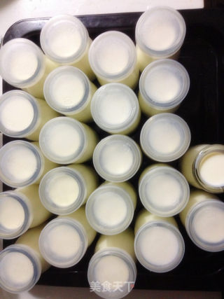 Oven Making Yogurt recipe