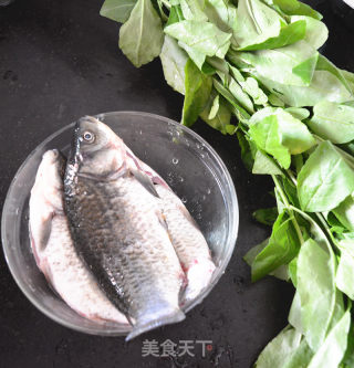 Lycium Barbarum Leaf Crucian Fish Soup recipe