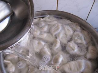 Big Clams, Cabbage and Mushroom Dumplings recipe