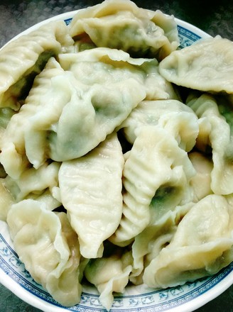 Green Vegetables and Pork Dumplings recipe