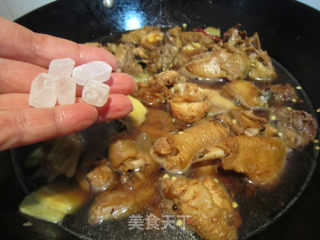 Good Fortune---imitate Xinjiang Large Plate Chicken recipe