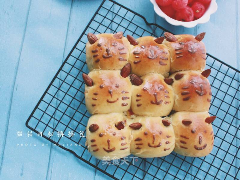 Cat Meat Floss Squeeze Bag recipe