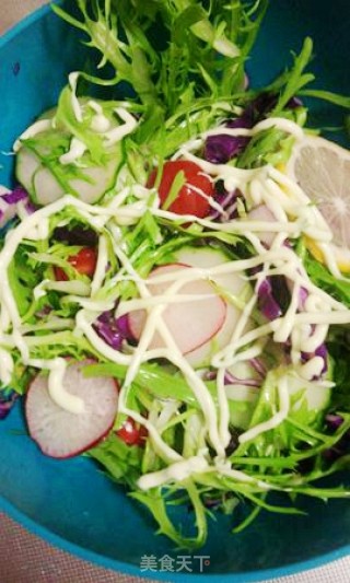 Colorful Vegetable Salad recipe