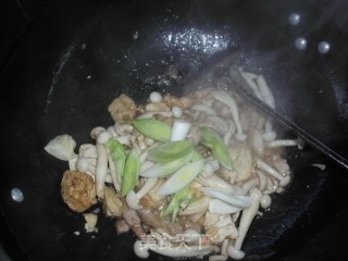 Baked Tofu with White Jade Mushroom recipe