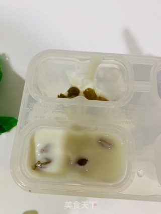 Yogurt and Raisin Low Fat Ice Cream recipe