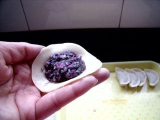 Purple Cabbage Dumplings recipe