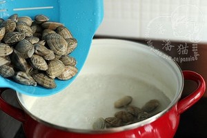 Spicy Fried Clams recipe