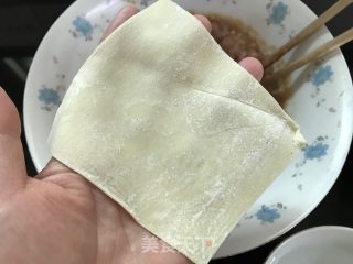 Pan Fried Wonton recipe