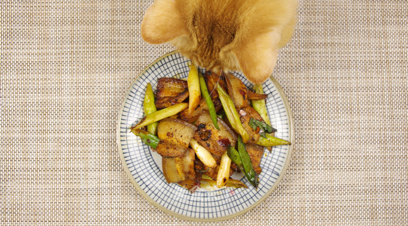 [returned Pork] It's Like Looking Back Suddenly After Going Through The Plain-not Serious Approach recipe