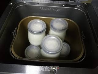 Homemade Yogurt recipe