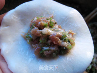 Celery Pork Ingot Dumplings recipe
