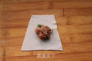 #trustzhimei#fresh Meat Wonton recipe