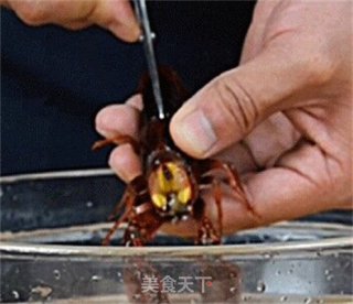 Stir-fried Chicken Simple Braised Prawns Tutorial in Oil recipe