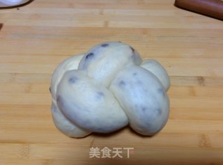 【honey Beans and Cocoa Two-color Toast】——manually Shaping Bread Machine Version recipe