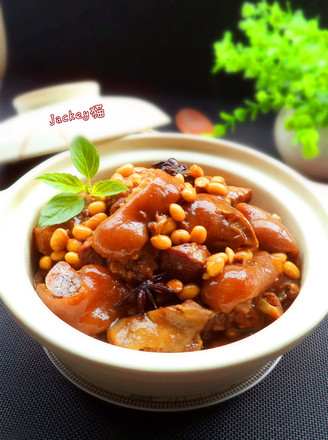 Braised Pork Trotters with Soybeans recipe