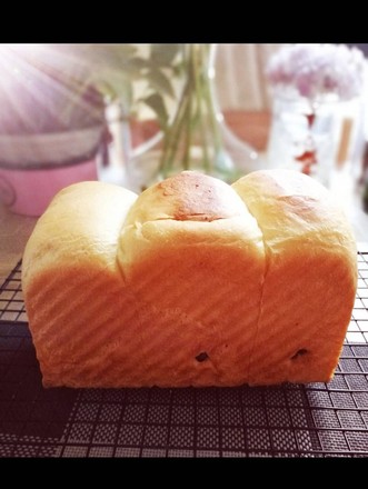 The Spring of Bread (70% Chinese Method) recipe