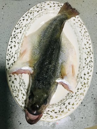 Steamed California Bass recipe