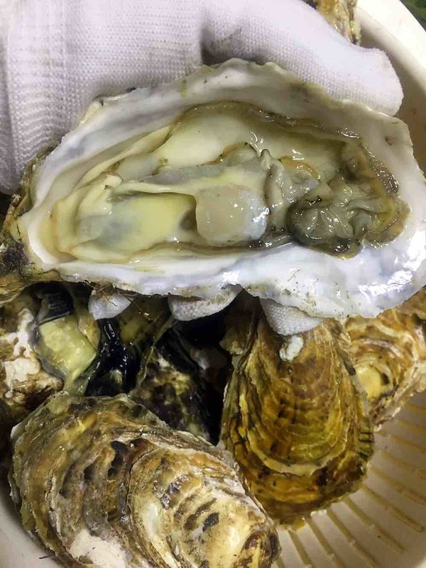 Delicious Garlic Roasted Oysters recipe