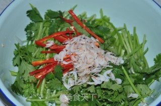 Tiger Dish recipe