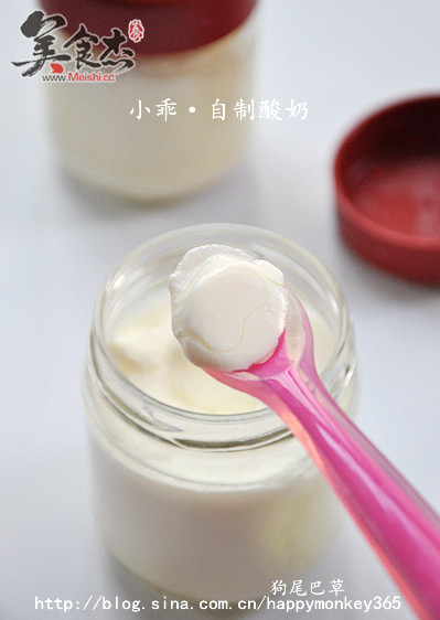 Homemade Yogurt recipe