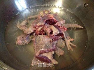 【stewed Pigeon with Tea Tree Mushroom】 recipe