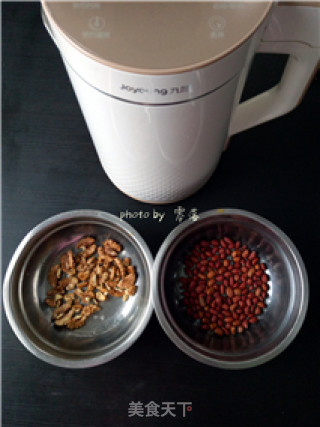 [bao Nao Yi Zhi] Peanut and Walnut Dew recipe
