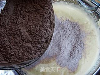 Cocoa Sponge Cake recipe