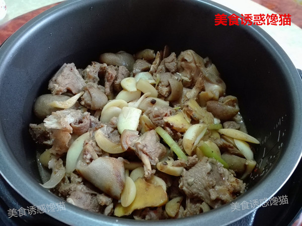 Braised Lamb (electric Pressure Cooker Version) recipe