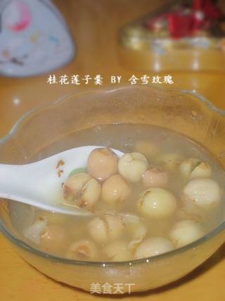 Osmanthus and Lotus Seed Soup recipe