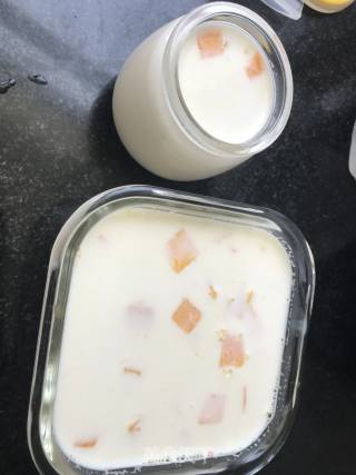 Mango Milk Pudding recipe